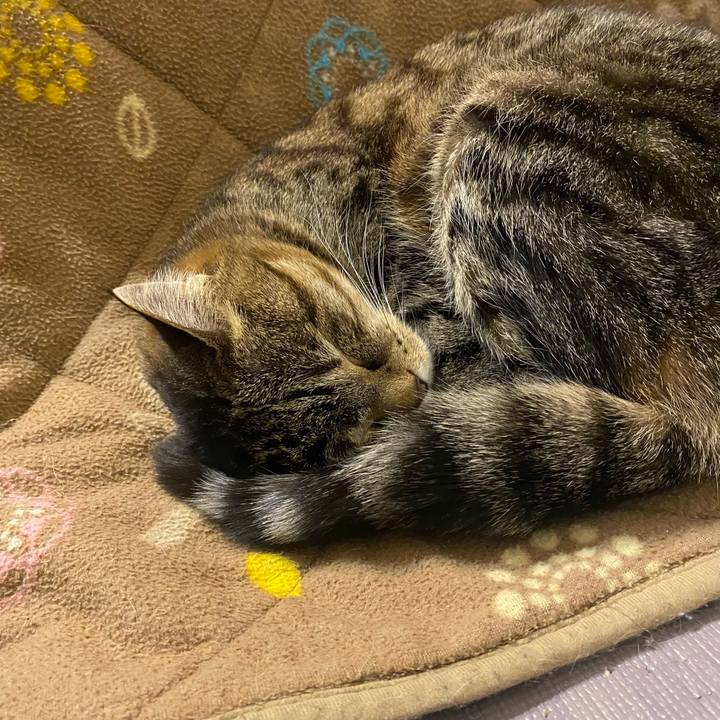 776ef3d7 b874 456e a3ce 425aa6787f7a 1646597321557