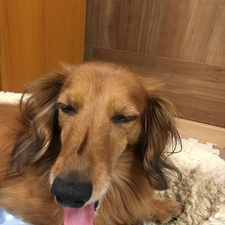 776ef55a f9b9 471f 826f 6a589cab0bed 1560343622747