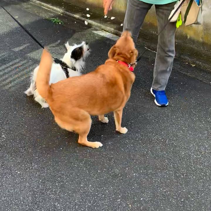 776f1b50 85fe 49e0 b852 b0c8c21b3565 1664496094688