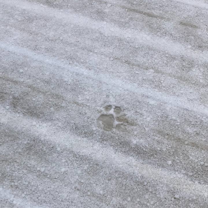 776f1e94 ef2f 4d2d a43f 842cd405b3ae 1770519294866