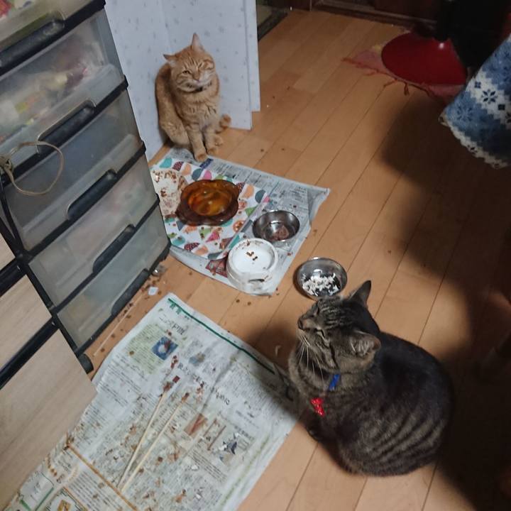 776f58c5 f60e 42c3 b579 31b3ad9dc5ca 1654688454045