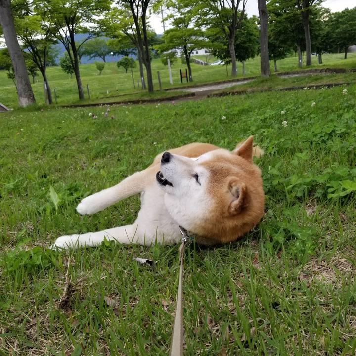 776f5afa 097b 4557 9865 dded4c91906d 1686039601713