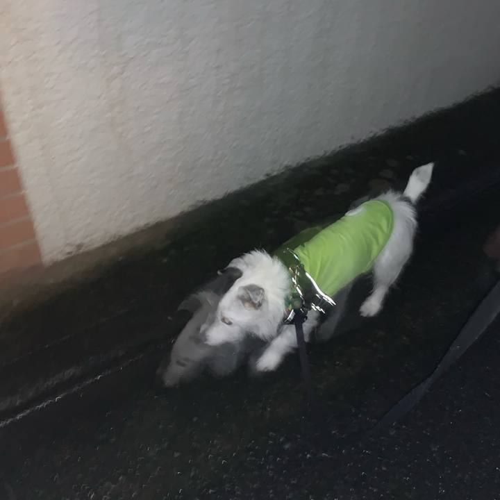 776f6228 1383 42be a22b dbac027cedca 1679660026994