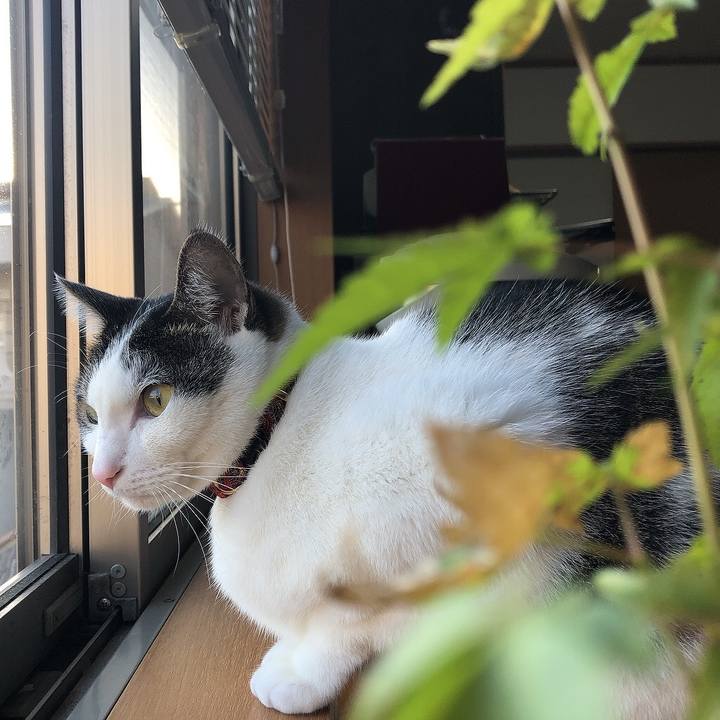 776f64eb 95b6 4c92 9f3f fb4e98fad7ad 1638571909698