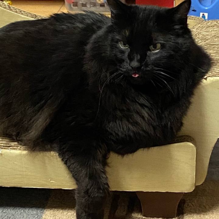 776f67b0 b28f 4baa a823 6a0a7374bfaf 1607860416747