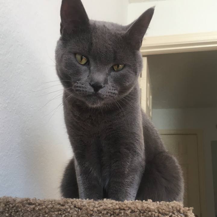 776f8afc fd73 4ef7 84dd 0e1ee3f54292 1645500609642