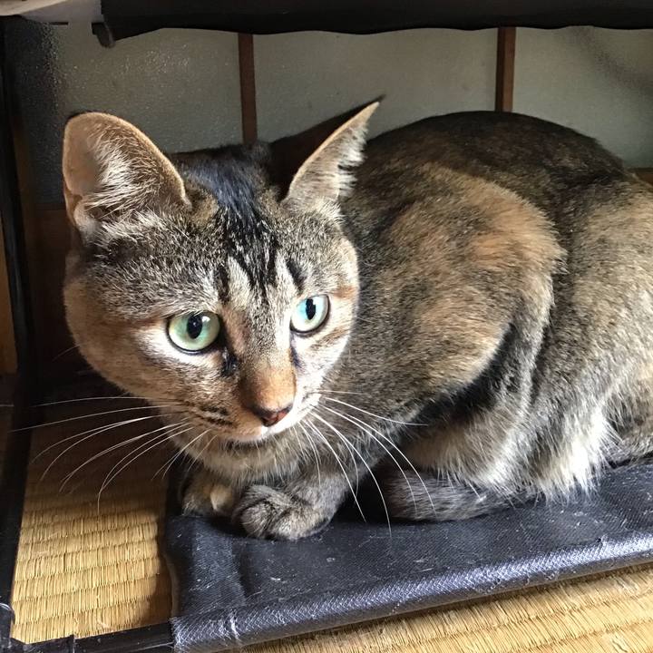 776f9a6f 1cb0 479f ac2f 8493432678ee 1653271065042