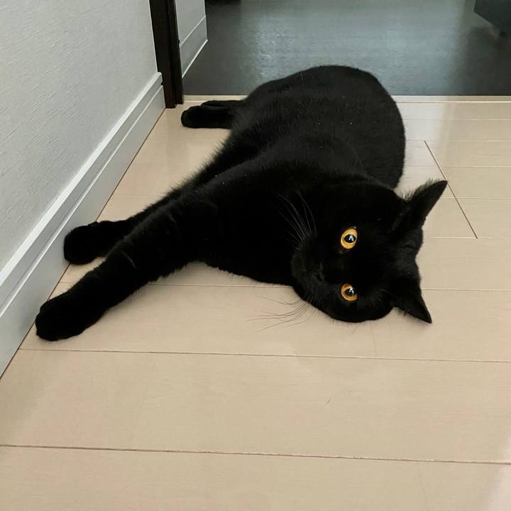 776fb6d1 f22f 4070 b843 474a2d324698 1601619070059