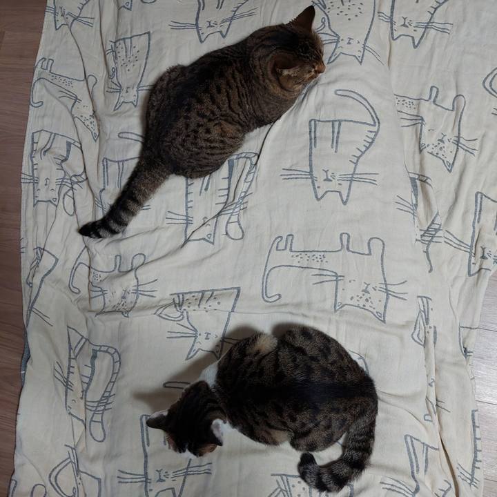 776fe3e7 77f1 4eaa 9ea0 d216c2947fa7 1662726635174