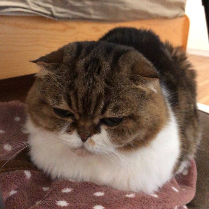 776ffae8 5d2b 46f1 b281 cf105238808b 1540093905726