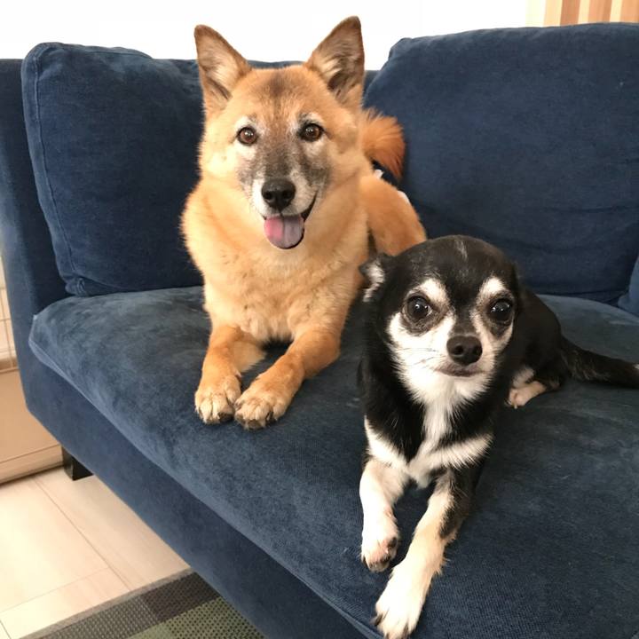 7770118c f753 4729 9cb0 3437142fc85c 1533975948878