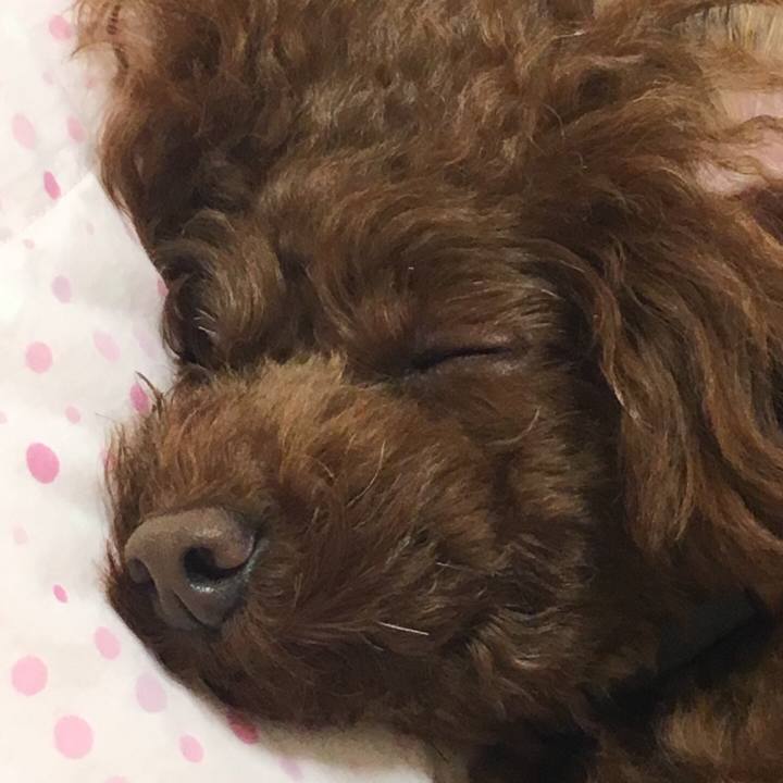 77701b3f 8518 41b5 bf02 cc686c716ca9 1511307220845