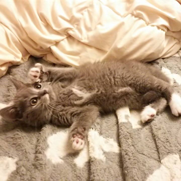 777021b7 b6de 4484 aa04 45f4a683589f 1530790837307