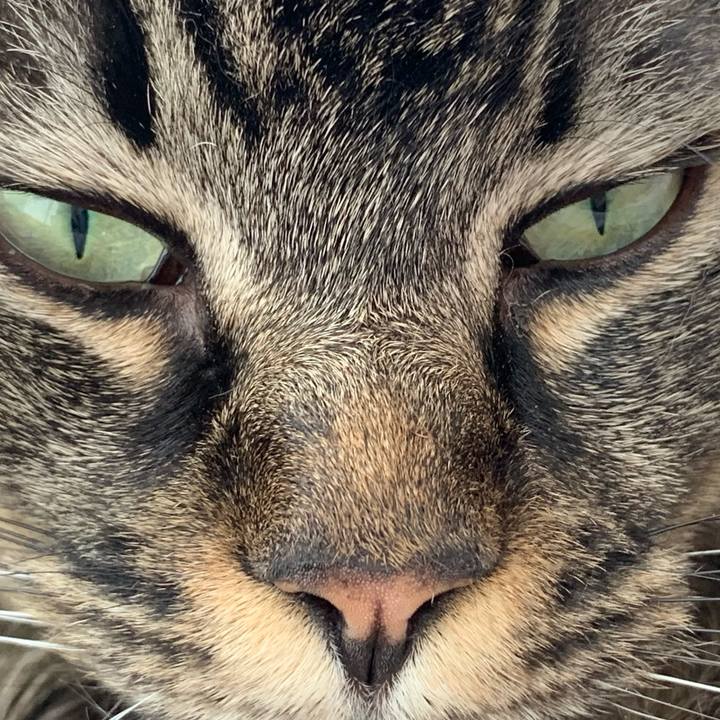 7770e322 0cca 4cdb 985e 880ebc896316 1773453826949