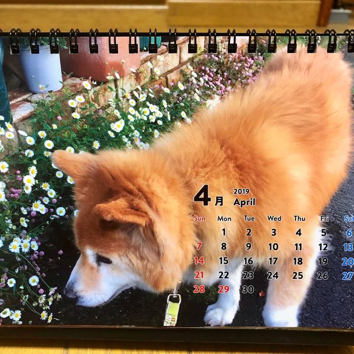 77711904 6cae 461d 986a b4fa03521e7e 1546083326759