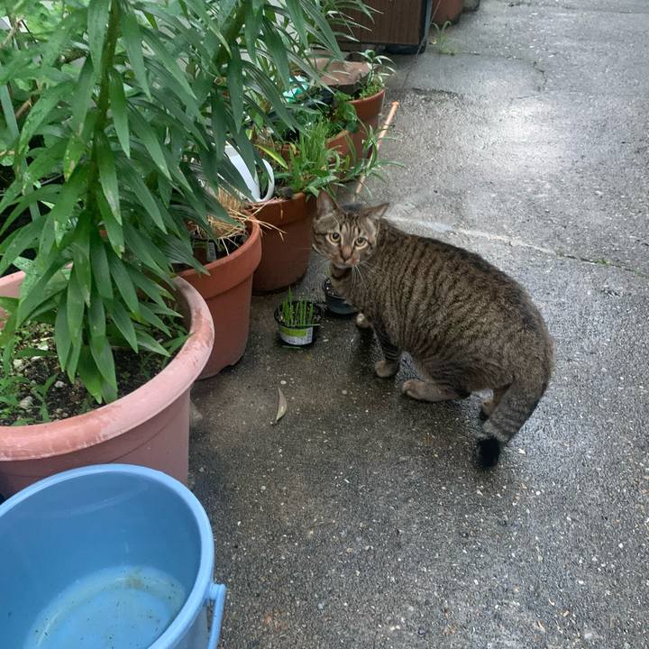 77712907 0094 4712 8a3d a50cce33954f 1685441306606