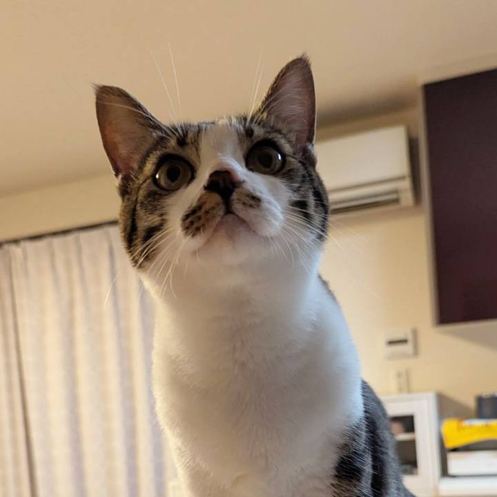 777142d6 c9eb 43f1 96a9 a5faa78398b8 1756885257968