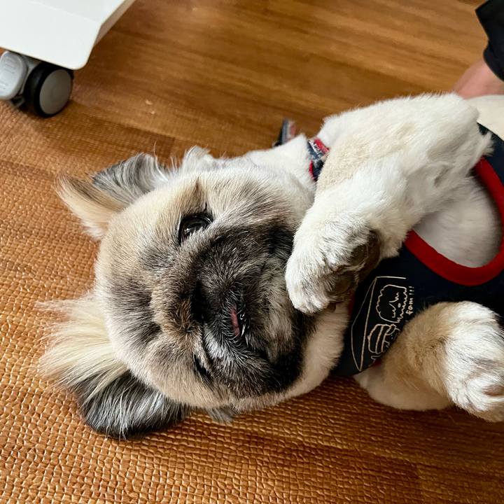 77714493 0c6b 471d ba4d 09d9fea89013 1773792355208