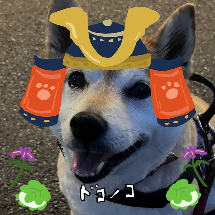 77715db4 8fb0 458e b2e8 0c2f775b6999 1714903143279