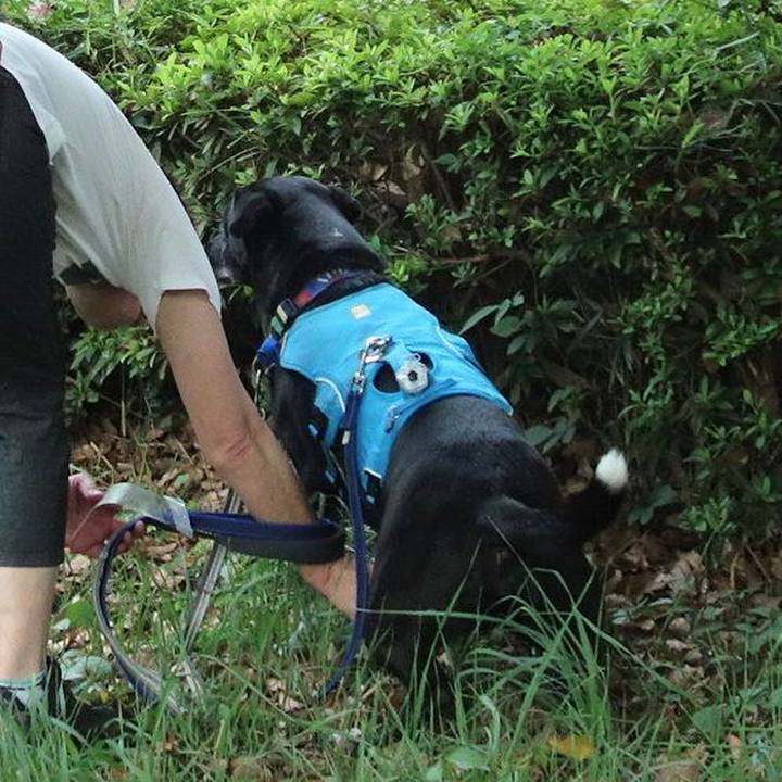 7771670d 6314 4f56 9560 166a4f9f6cce 1692700898472