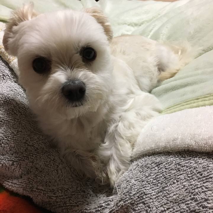 777191b9 448c 452e a38b 891073b4a9b5 1545215367593