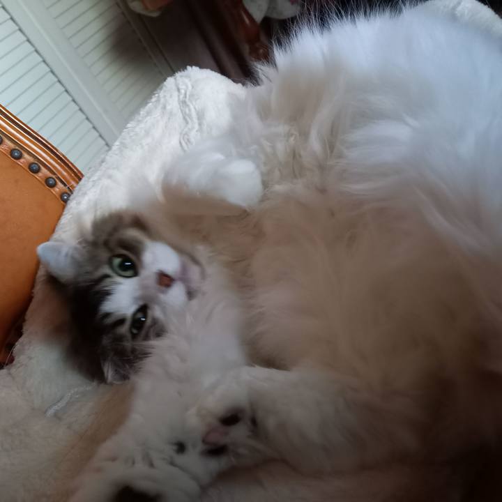 7771a7ef 5a96 4c36 baad 582ebb67801c 1613341603238