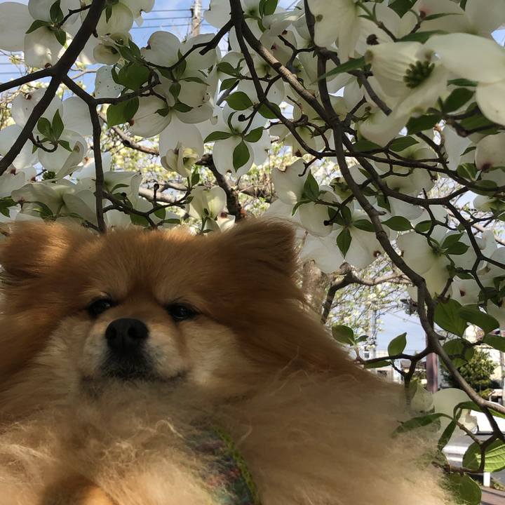 7771ae00 ed2c 4812 ad33 7f752f3df05b 1617667871796