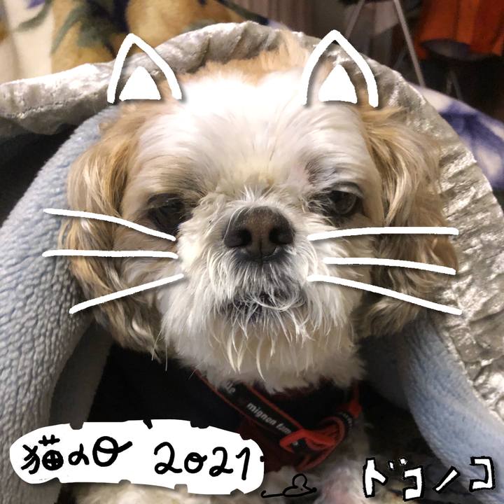 7771be8d 42fa 4bf6 b655 94637fa08c1c 1614030768174