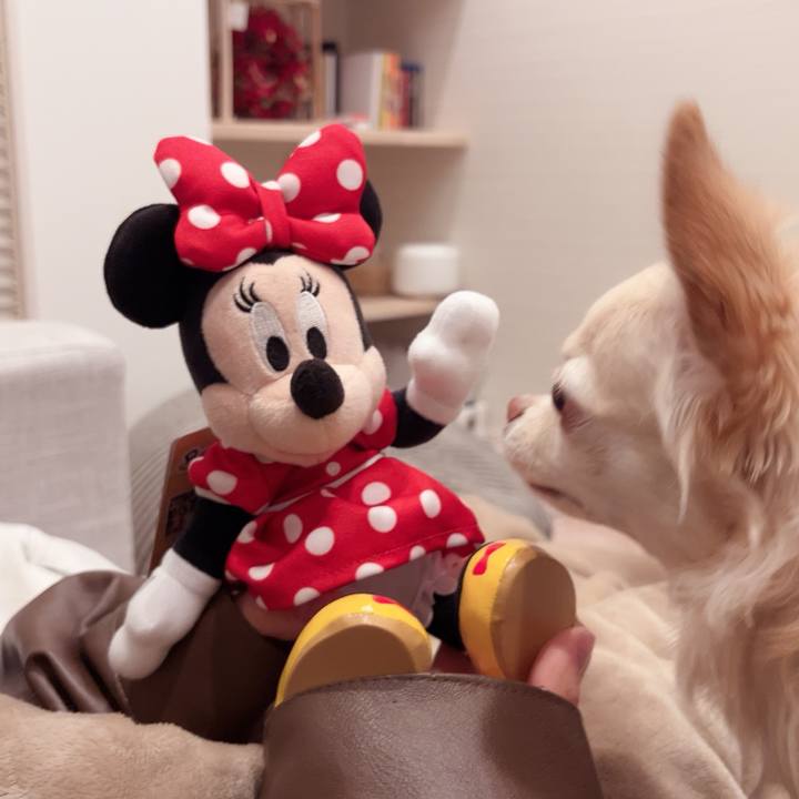 7771c69b 1b9f 4070 9382 6ee8ff6d3447 1735467984694