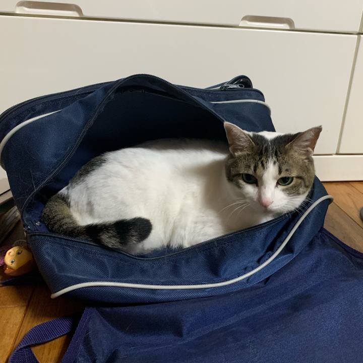 7771d1a5 86bb 49c3 9715 123bcd172c83 1626534797076