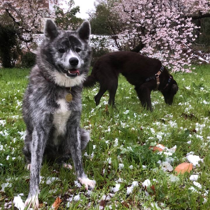 7771e65e 3110 4f5b a143 48a7e26828be 1585483053309