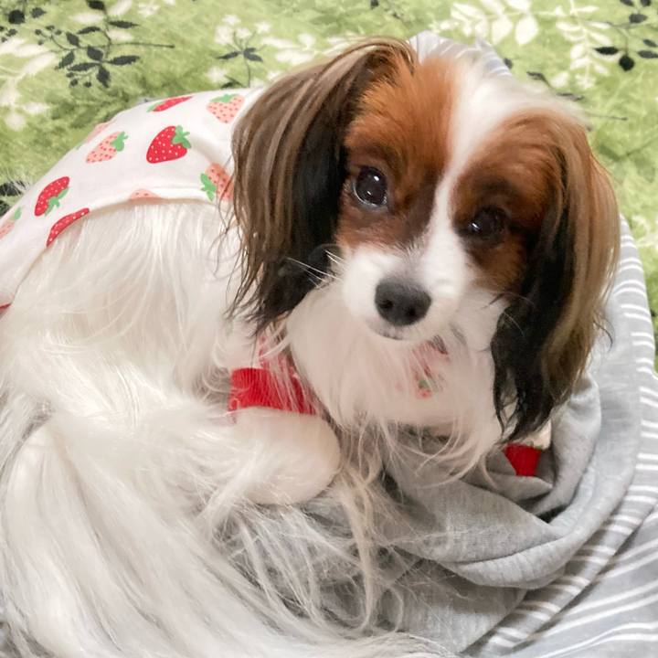 7771f647 f4d4 421f 948b c19477154cd6 1638138921716