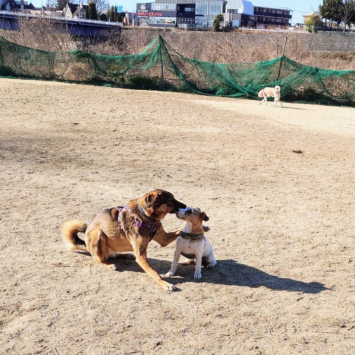 77722cd4 71c2 4cd1 bbbf 30a54c6b6fd1 1740358297638