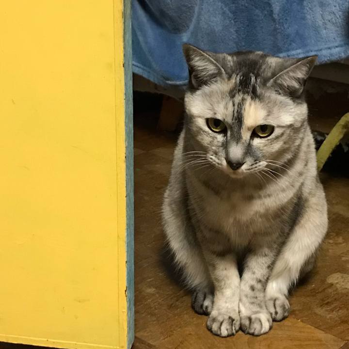 77723fd9 c3b6 4f8b b482 596d49bb5aa9 1554034468008