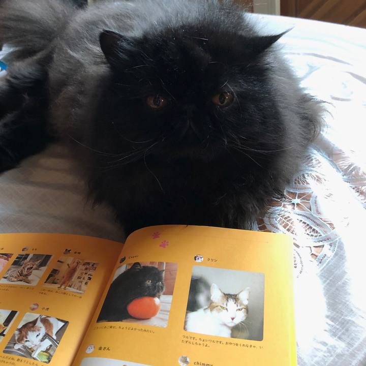 7772446d f0dd 404d 93ae da7c7c70cc60 1556681777449