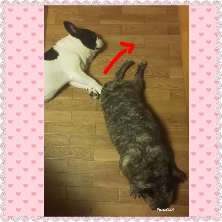 7772b749 3295 4023 bb7f ef96611ebb0c 1689807086845