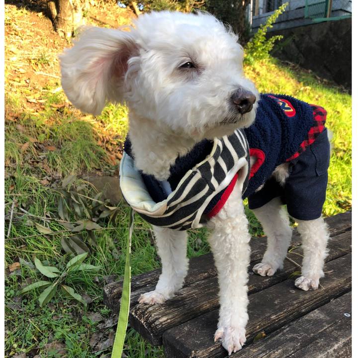 7772c239 2ba4 477e 9d0a 191e8e4ebd87 1544189857963