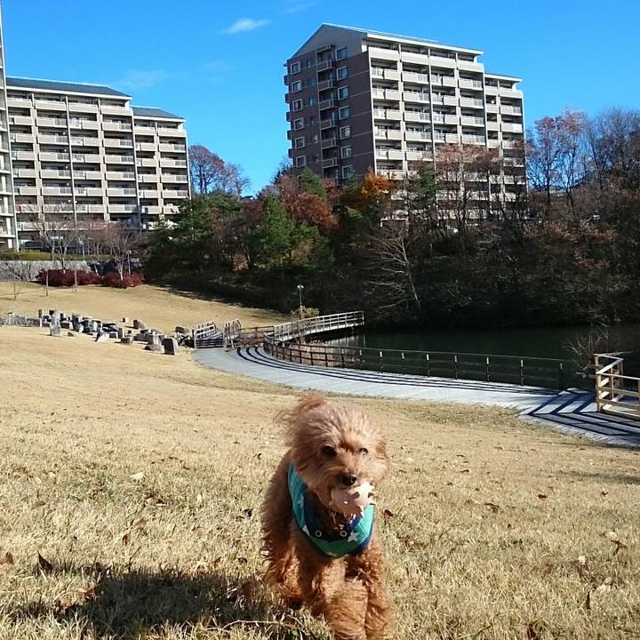 7772cc00 7723 48f8 85cf 8fa0f436f383 1512439982197