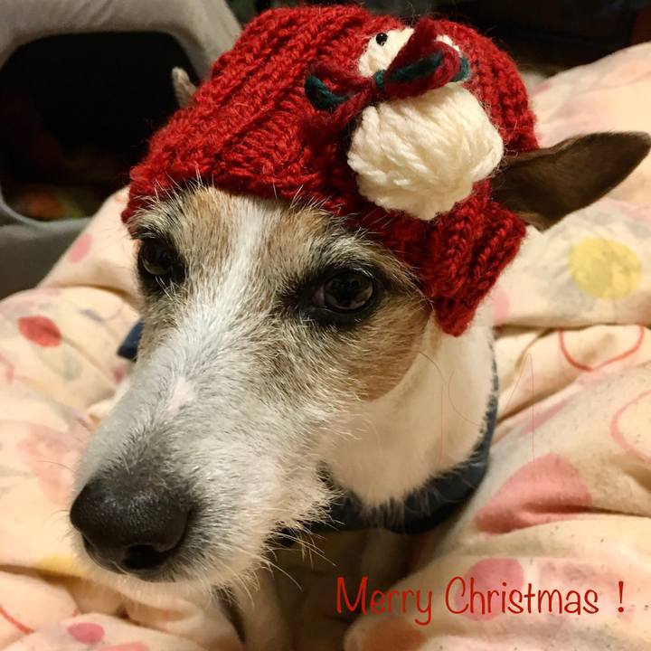 777326d8 ed59 4b66 8645 cf22a9919fb9 1577244527437