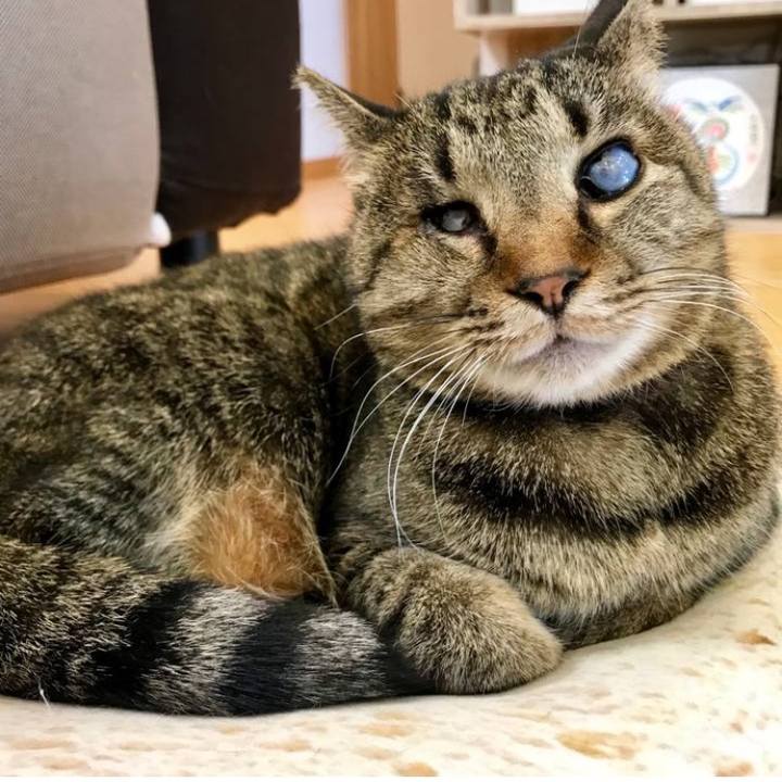 77733569 4564 42bb 8027 a748198529ae 1740651363915