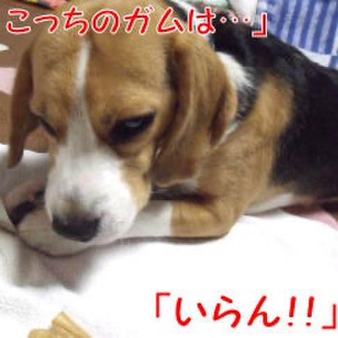 7773e77f e2f9 4ba1 94c1 730ae102c056 1714089191268