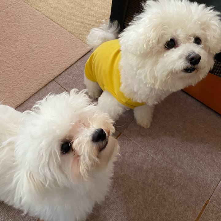 77740c04 8c55 4c96 ac70 12f355c40795 1746686452784