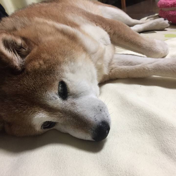 7774319a d6b6 42f2 bfea 56f48945ba02 1526209242991