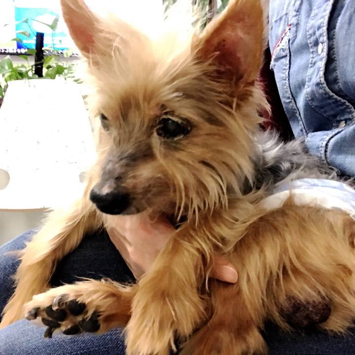 7774327b ac4a 4ec7 9cf5 04038be558e6 1508641240996