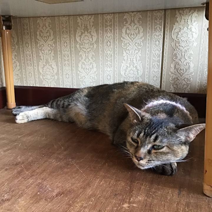 7774338a 101d 490f b4bd 7f19e1af4b61 1658742796156