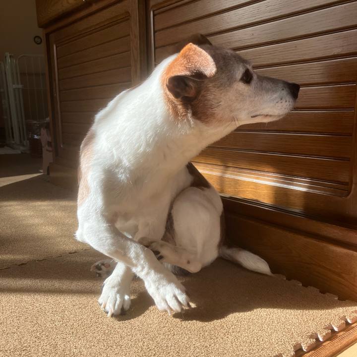 77745d7a 8d19 4147 9e54 d7fa9e85ab72 1764553277010