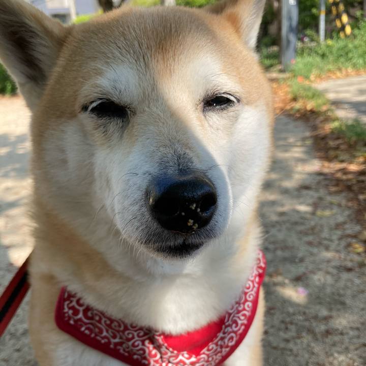 777469c8 a661 4280 b91c 71680315745a 1618452352804