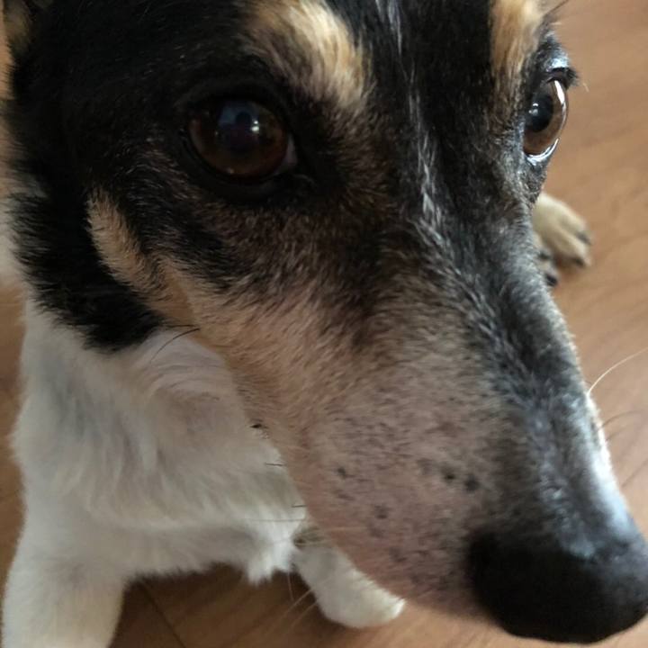 77747744 9827 462e 955a 6c3b47e4f814 1565656989189