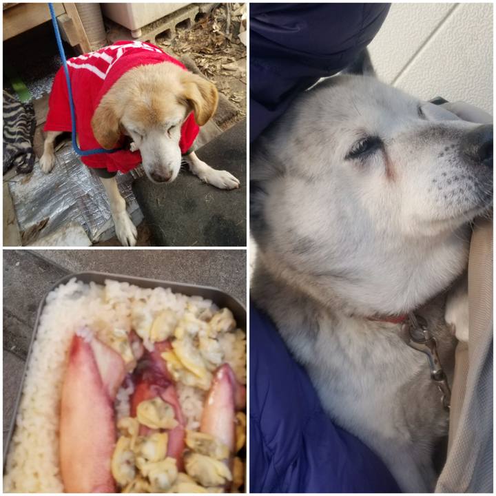 777482bc 8977 4a99 9138 187d507ee986 1760700140865