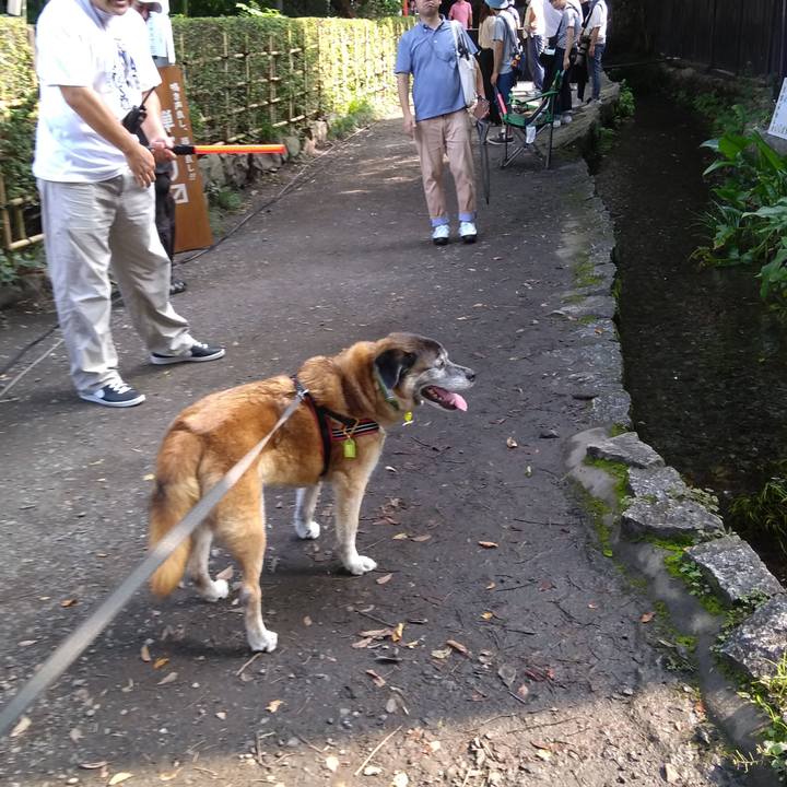 77749b08 15e8 4f8d 9c04 f1d73867ee0f 1564444469043